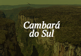 cambara