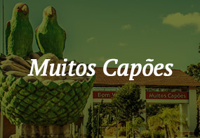 muitos_capoes