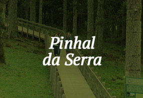 pinhal_da_serra